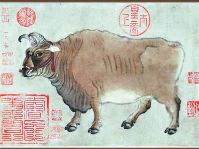 牛究竟有多“牛”