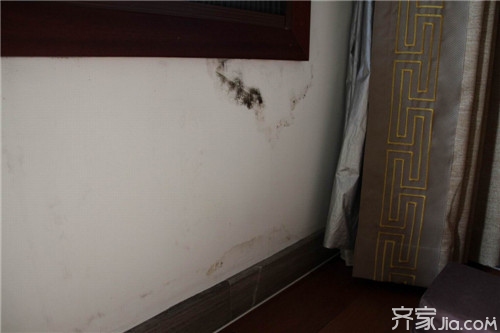 墙面返潮发霉怎么处理  如何防止墙面受潮